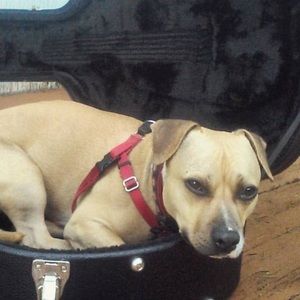 Meet your Posher, Kelly